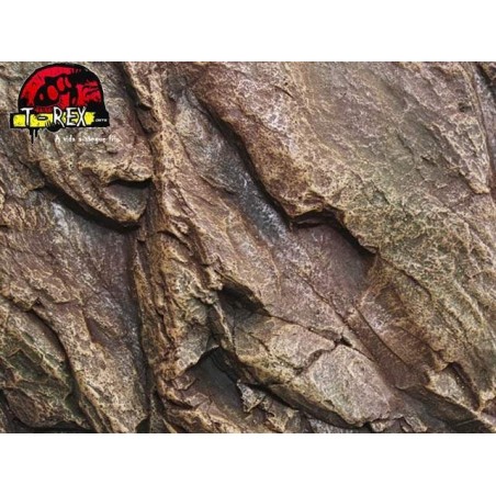 Background Rochoso 3d  Repteis | Iguana