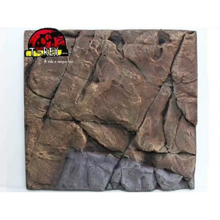 Background Rochoso 3d  Repteis | Iguana