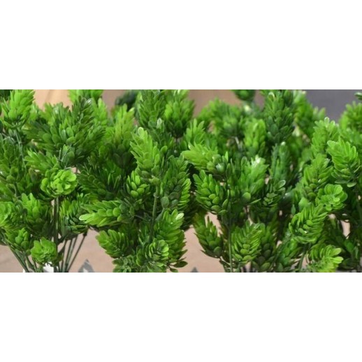 Planta Artificial - Tree White | Terrário | Répteis