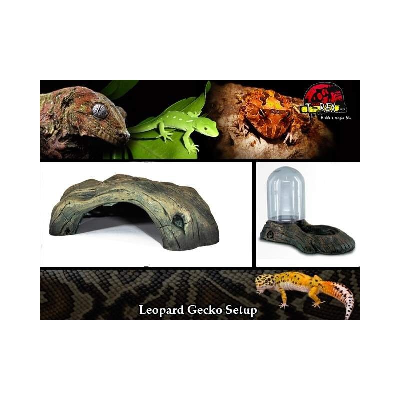 Reptile Cave + Water Dispenser | Terrário | Pogona | Gecko
