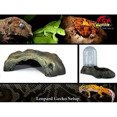 Reptile Cave + Water Dispenser | Terrário | Pogona | Gecko