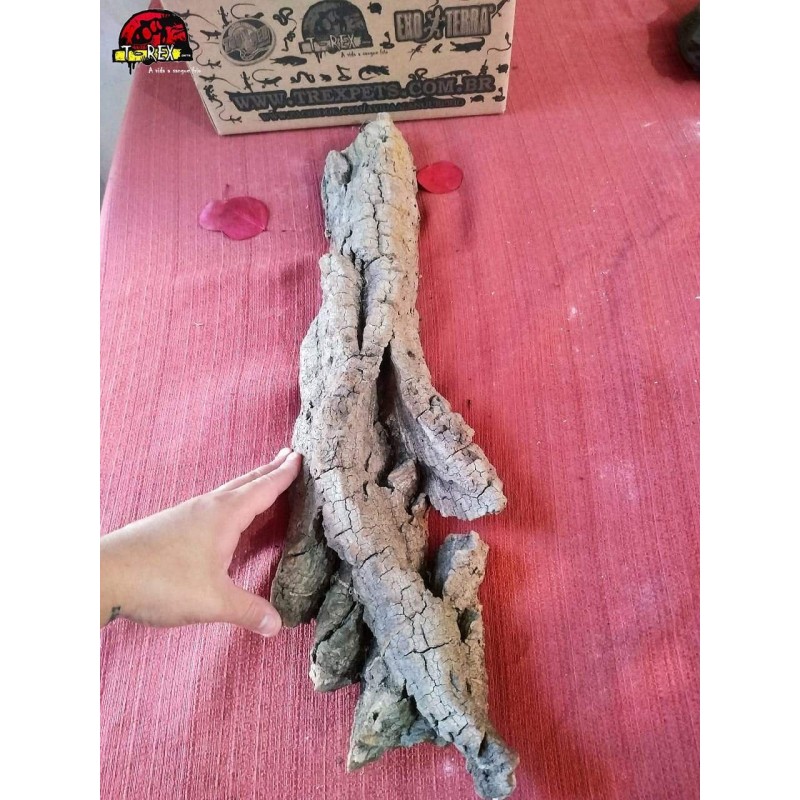 Tronco Natural 01