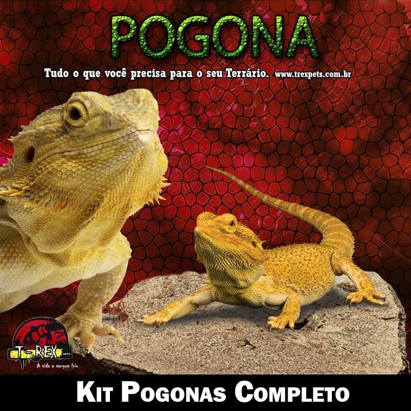 Lampada para Pogonas Terrario