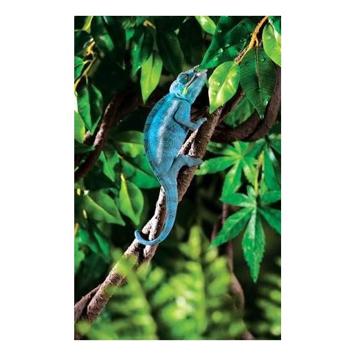 Jungle Vine