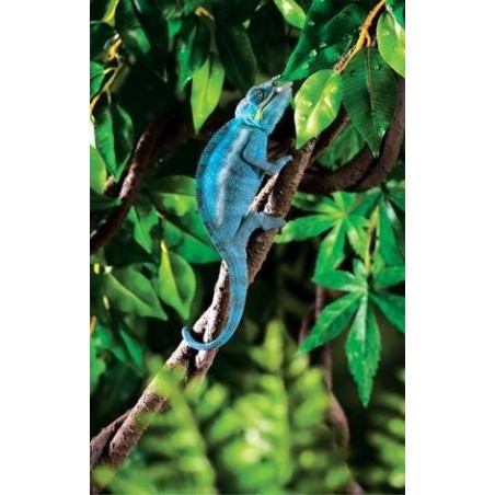Jungle Vine