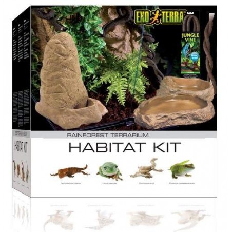 Kit Decoração Terrário Tropical