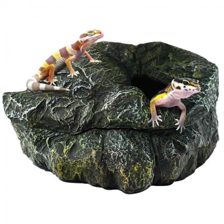 Toca para terrário de Répteis