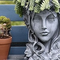Substratos e Vasos para Plantas Carnívoras - Crie o Ambiente Perfeito